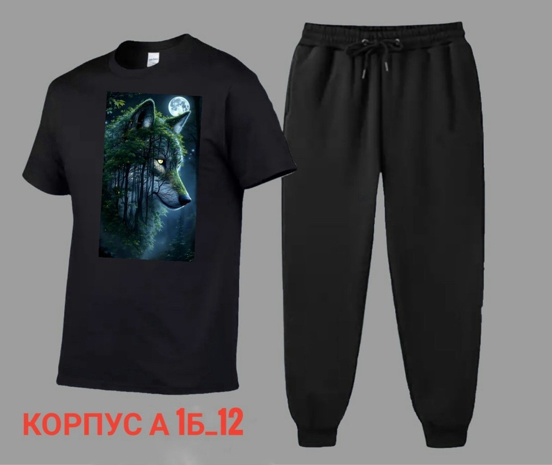 костюм спортивный мужской,костюм мужской,спортивные костюм,костюм для мужчин,костюм двойка