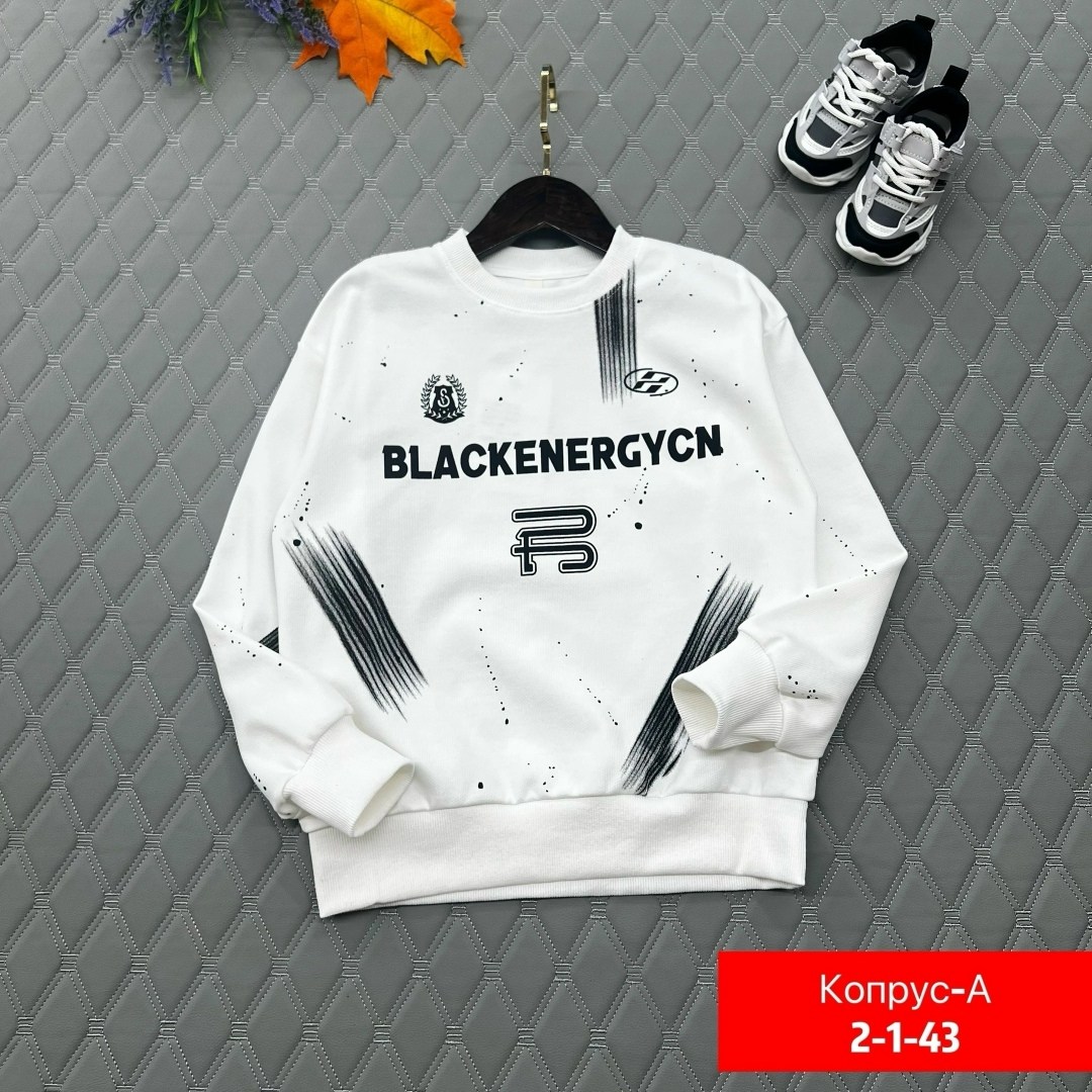 cвитшот для мальчика,свитшот подростковый,cвитшот детский,свитшот,кофта для мальчиков