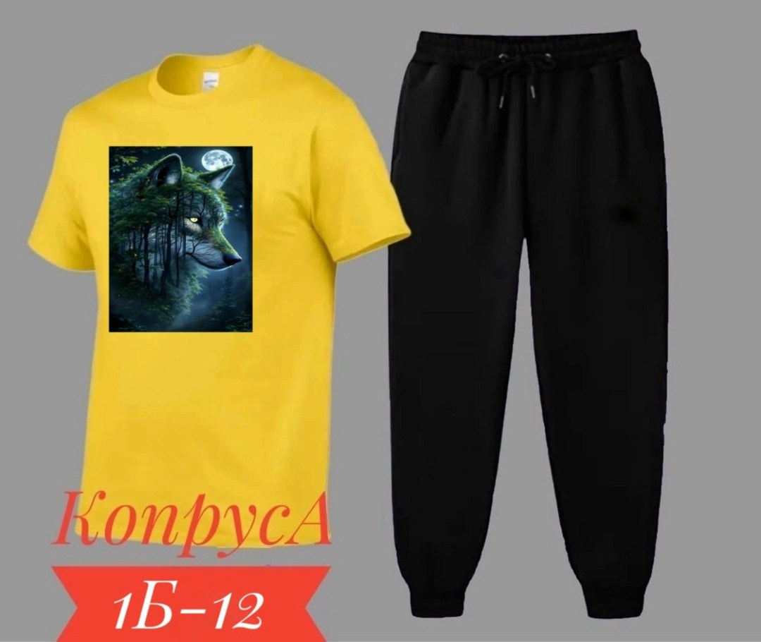 костюм спортивный мужской,костюм мужской,спортивные костюм,костюм для мужчин,костюм двойка