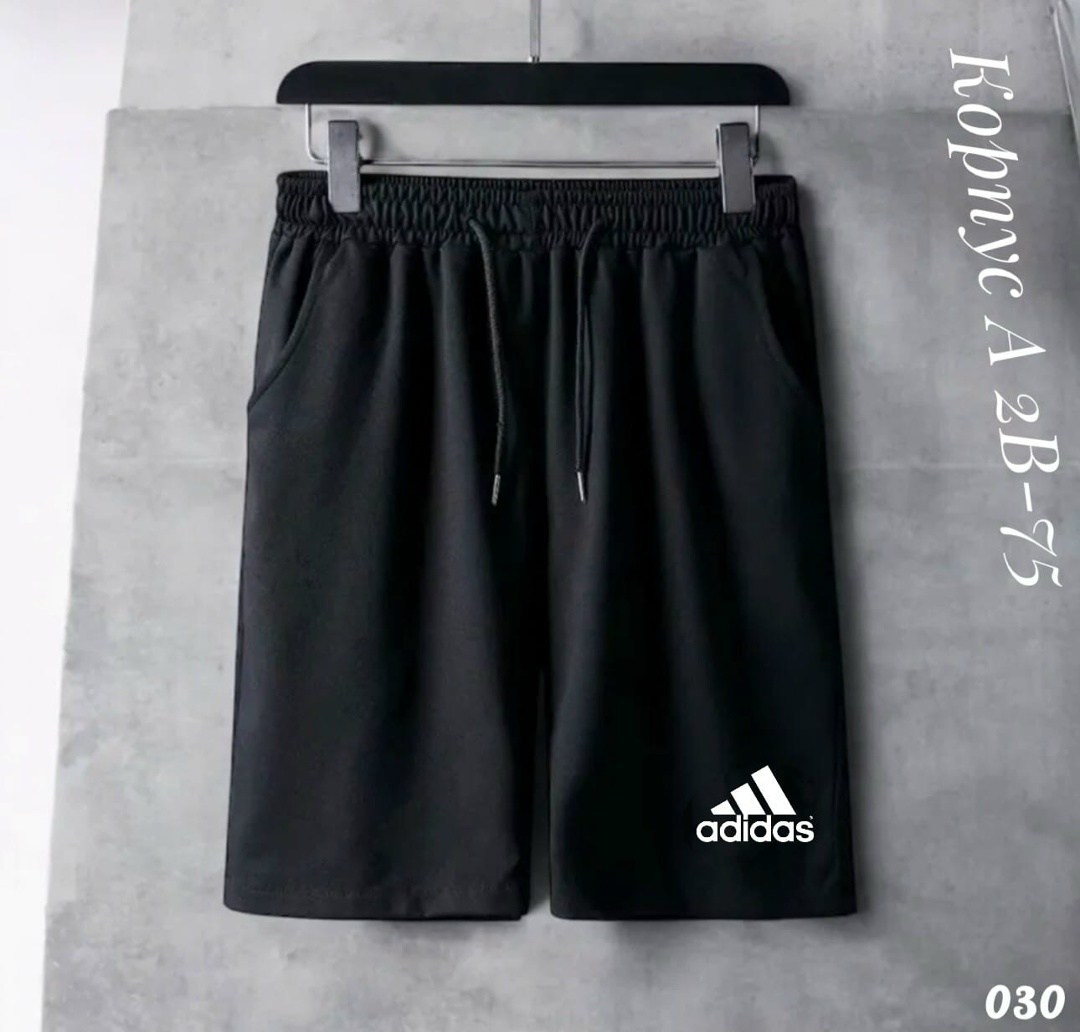 шорты the north face,мужские шорты the north face,мужские шорты the north face standart short light,мужские шорты,шорты спортивные мужские