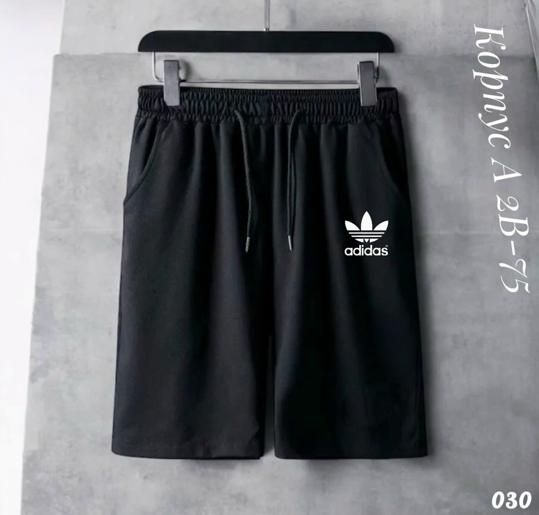 шорты the north face,мужские шорты the north face,мужские шорты the north face standart short light,мужские шорты,шорты спортивные мужские