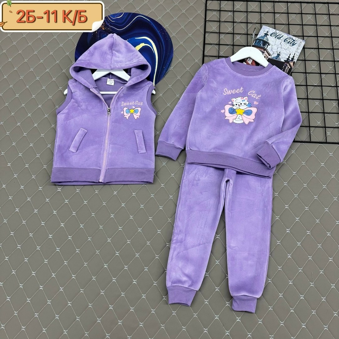 костюм тройка детский,костюм на флисе,детские костюмы,костюм для девочек,костюм тройка с начесом