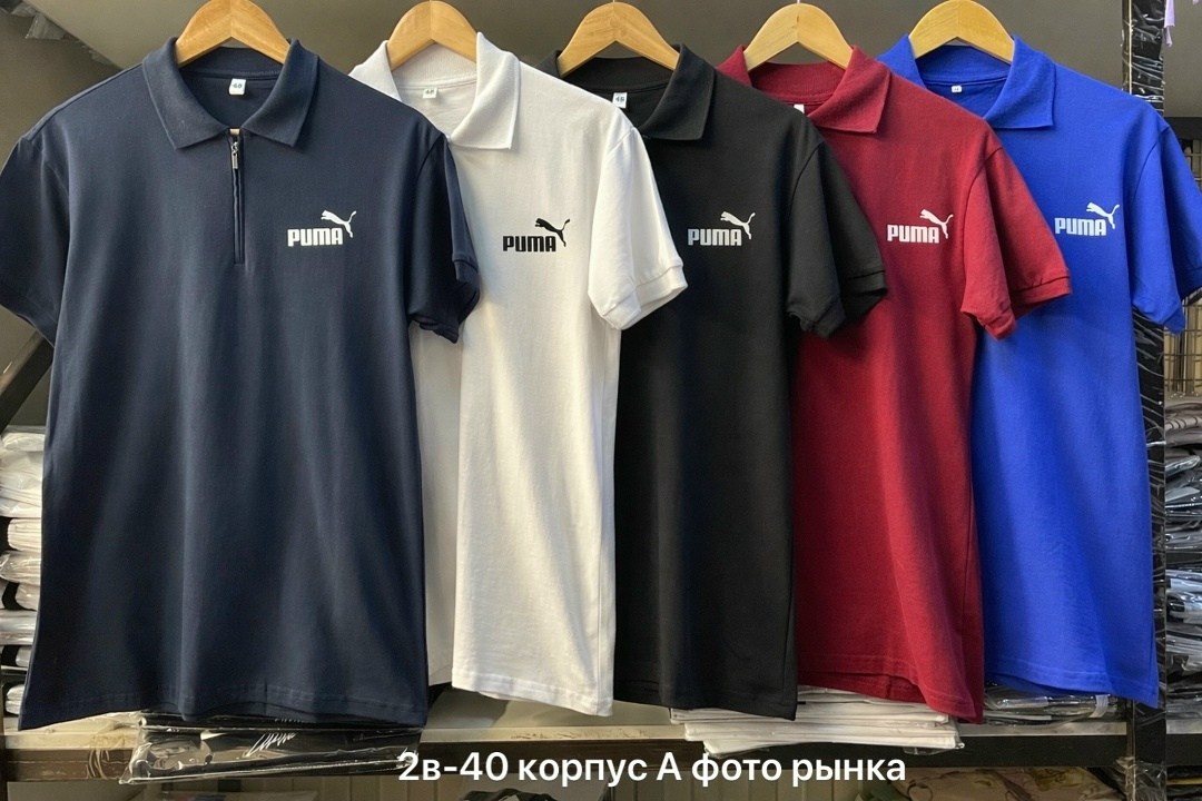 футболка женская,женская кофта,футболка поло женская,,поло женская