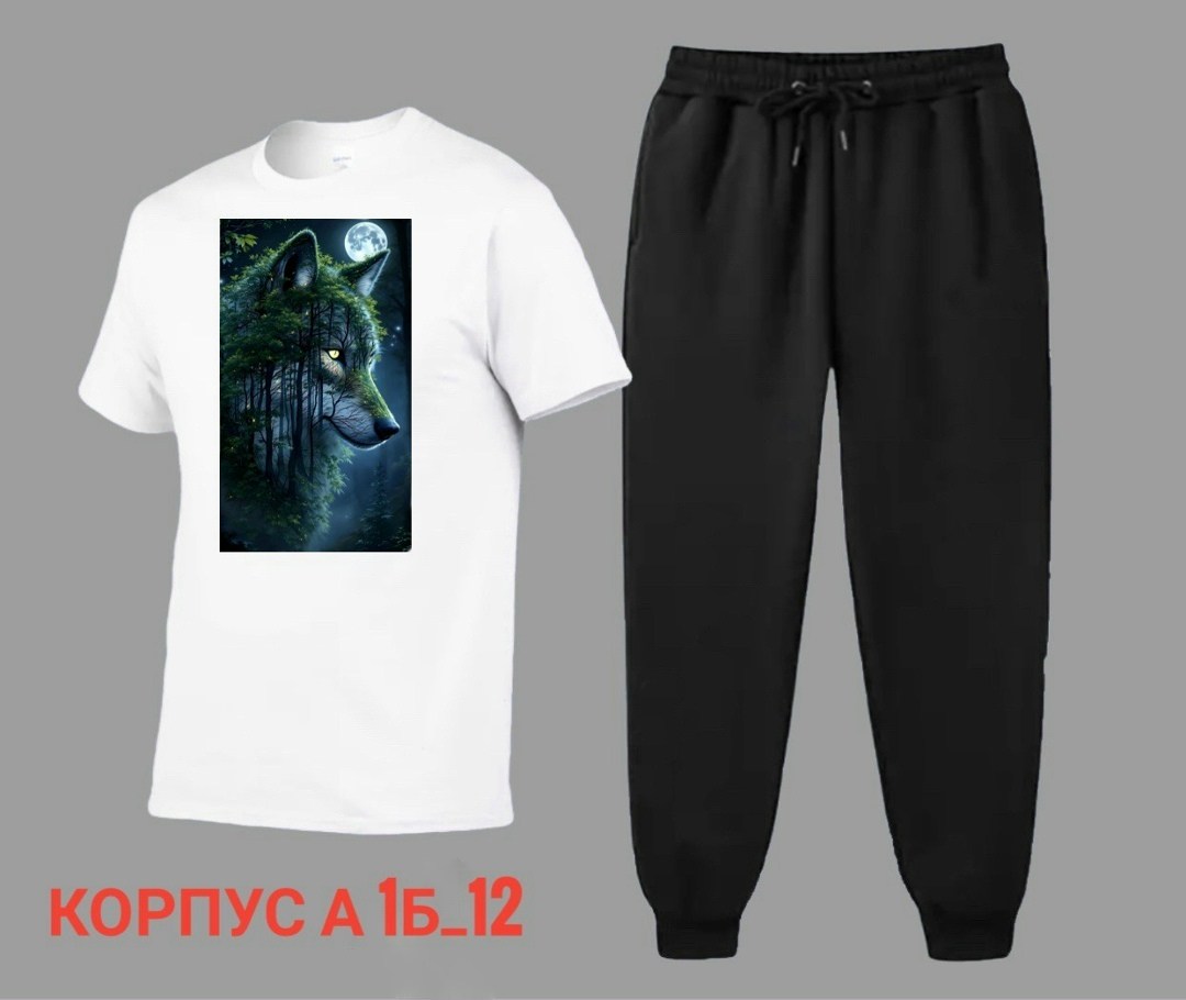 костюм спортивный мужской,костюм мужской,спортивные костюм,костюм для мужчин,костюм двойка