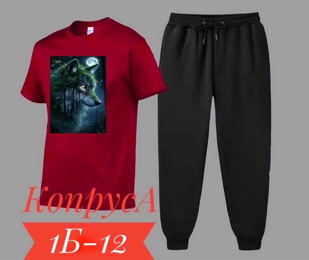 костюм спортивный мужской,костюм мужской,спортивные костюм,костюм для мужчин,костюм двойка