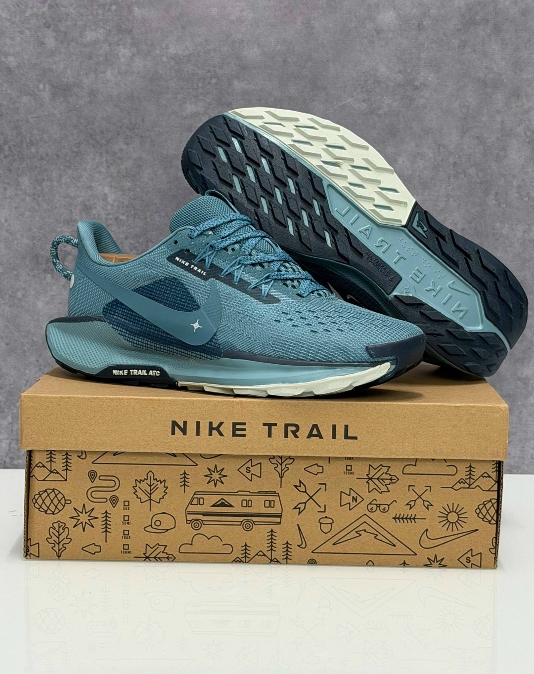 кроссовки nike pegasus trail,nike pegasus trail 5,nike pegasus trail 5 gore tex,nike pegasus trail 3,nike pegasus trail