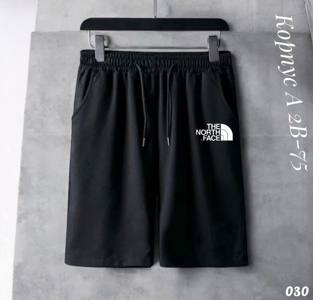шорты the north face,мужские шорты the north face,мужские шорты the north face standart short light,мужские шорты,шорты спортивные мужские