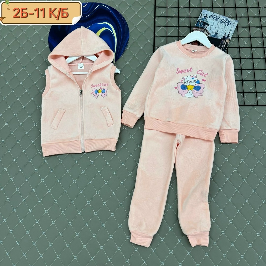 костюм тройка детский,костюм на флисе,детские костюмы,костюм для девочек,костюм тройка с начесом