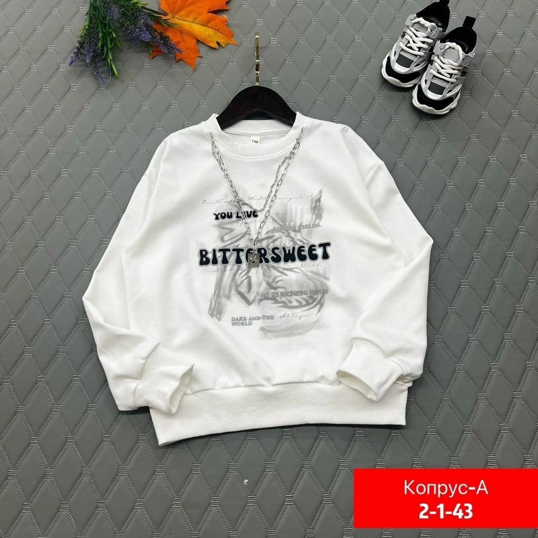 cвитшот для мальчика,свитшот подростковый,cвитшот детский,свитшот,кофта для мальчиков