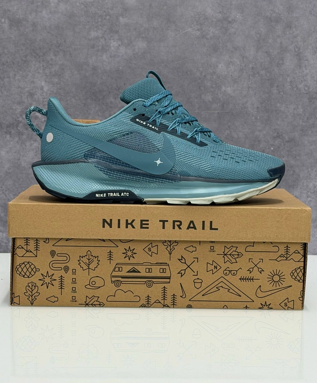 кроссовки nike pegasus trail,nike pegasus trail 5,nike pegasus trail 5 gore tex,nike pegasus trail 3,nike pegasus trail