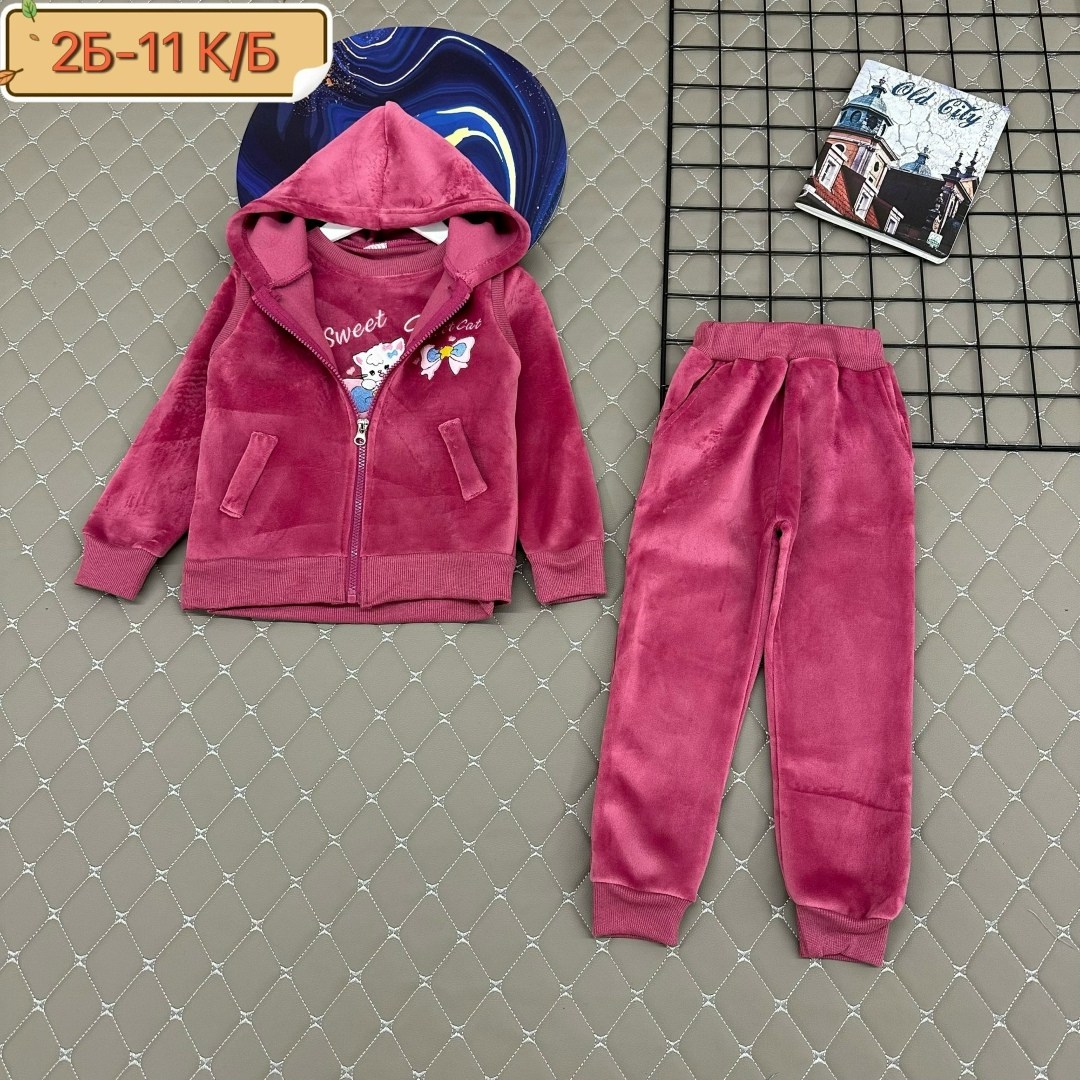 костюм тройка детский,костюм на флисе,детские костюмы,костюм для девочек,костюм тройка с начесом
