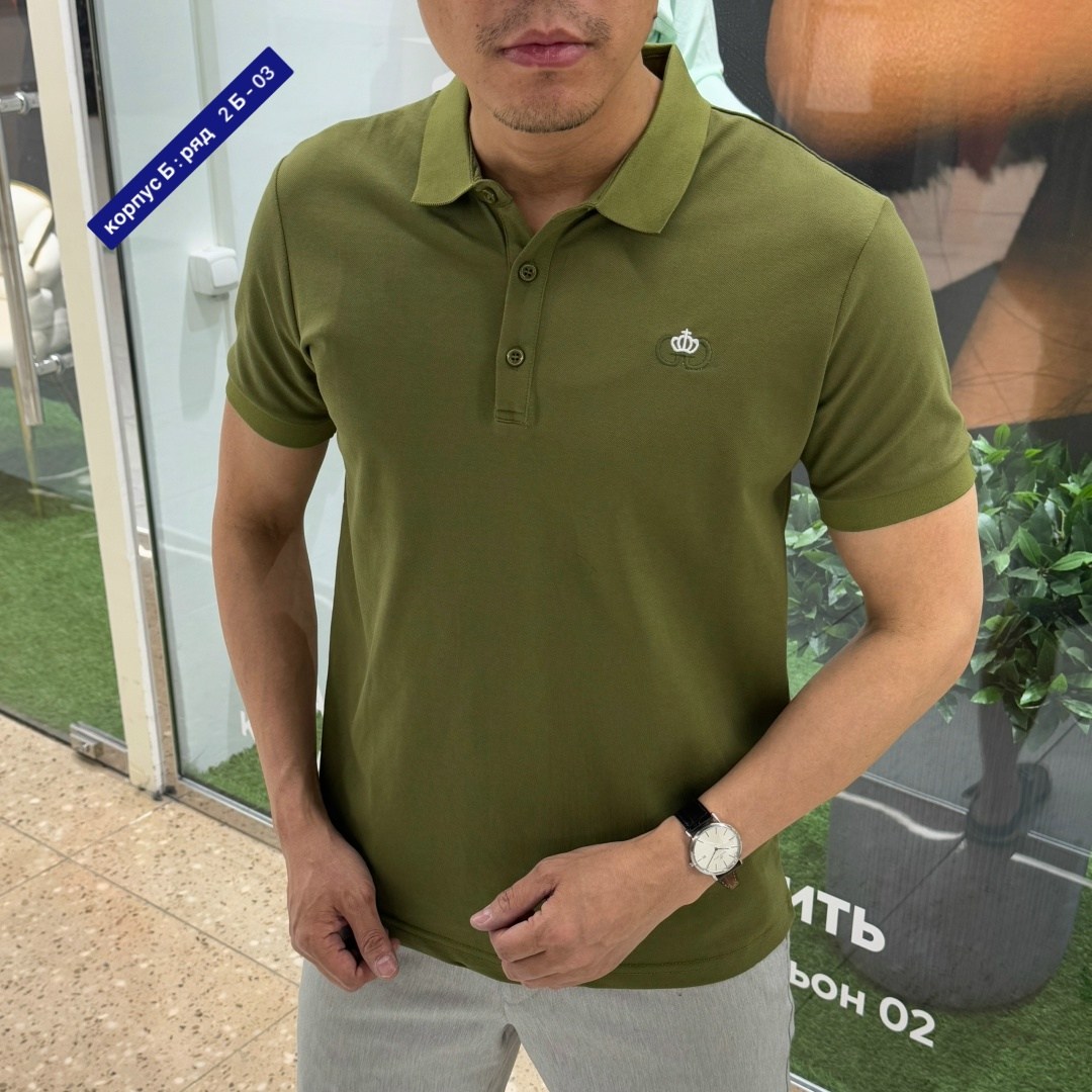 футболка мужская поло,футболки мужские,мужские поло,поло с,