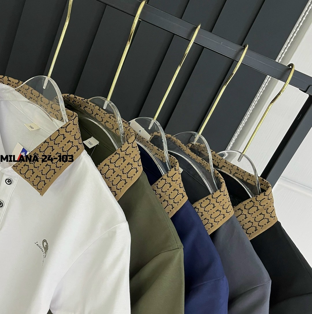 мужская футболка поло,футболки мужские,мужская мода,поло,мужская рубашка поло