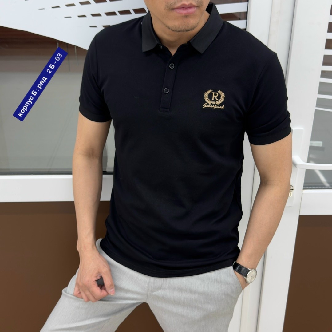 футболка мужская поло,футболки мужские,мужские поло,поло с,