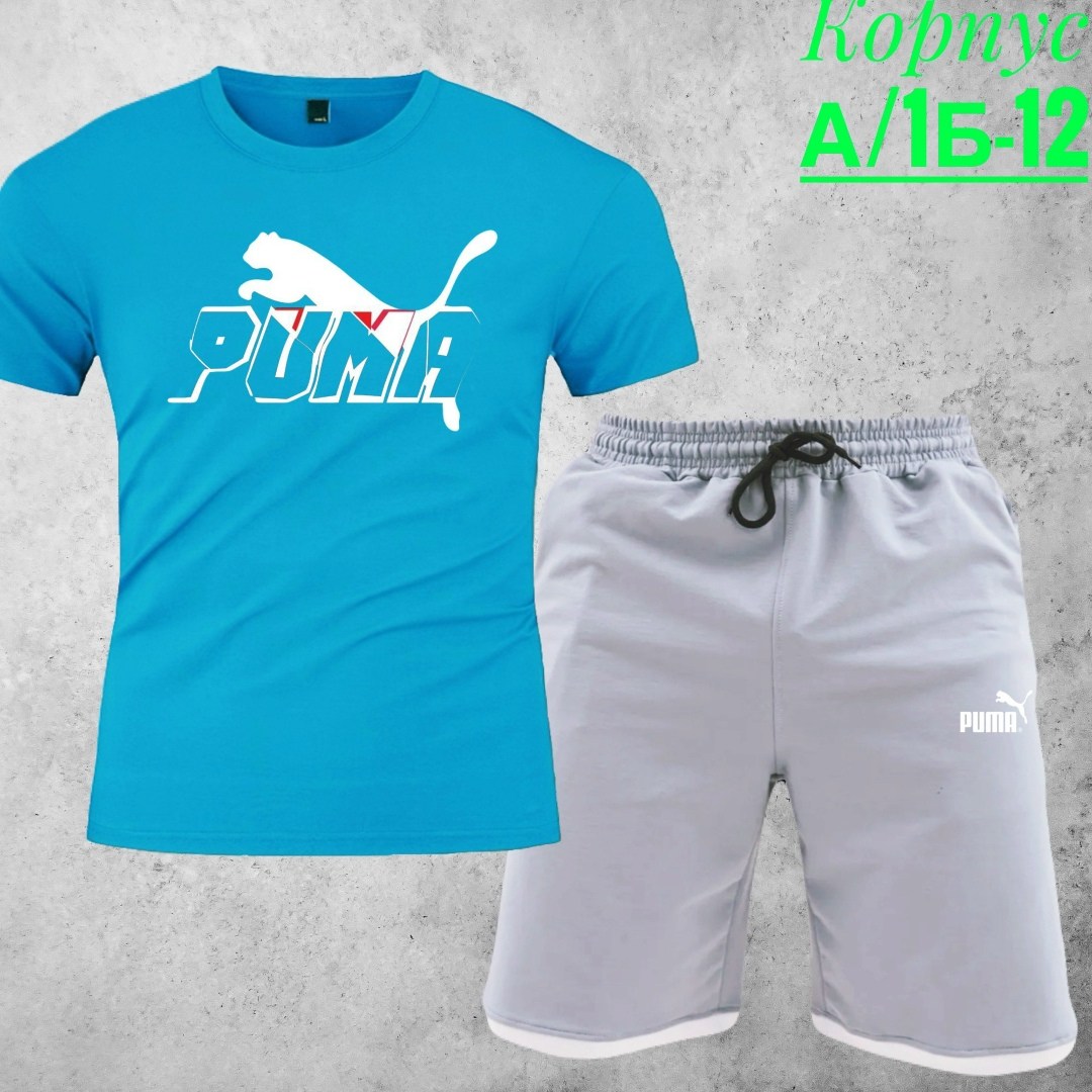 шорты футболка комплект мужской,костюм шорты и футболка мужская пума,костюм спортивный мужской,костюмы спортивный puma