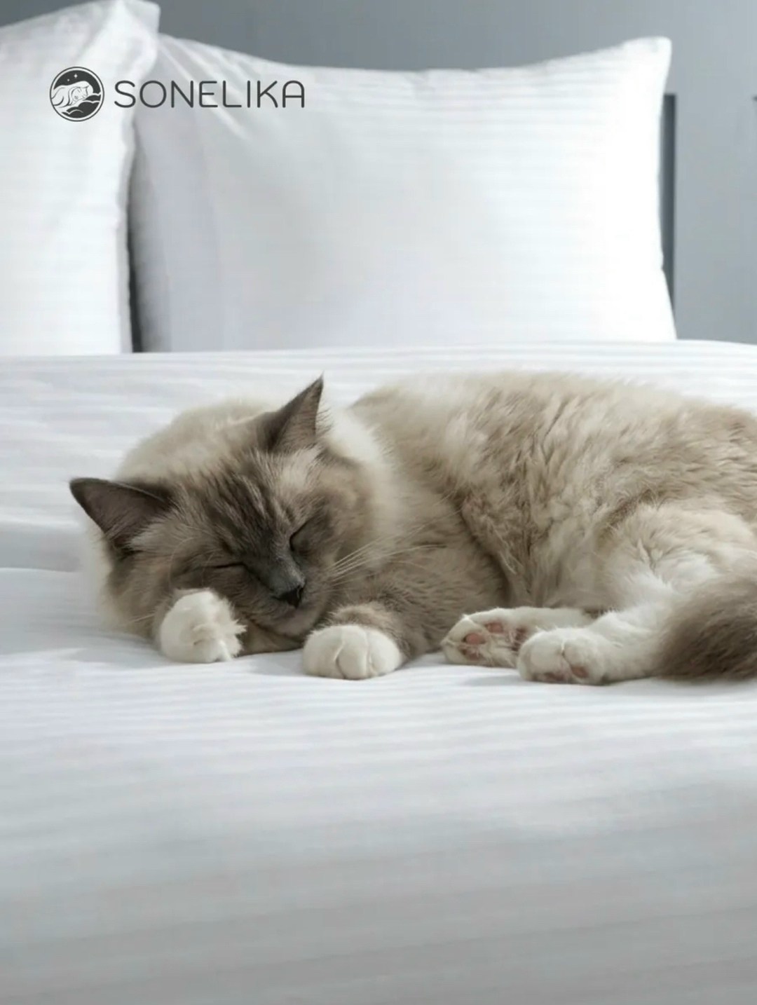 постельное белье страйп сатин,веросса постельное страйп сатин,комплект постельного белья страйп сатин,комплект постельного белья страйп сатин евро,кпб страйп сатин