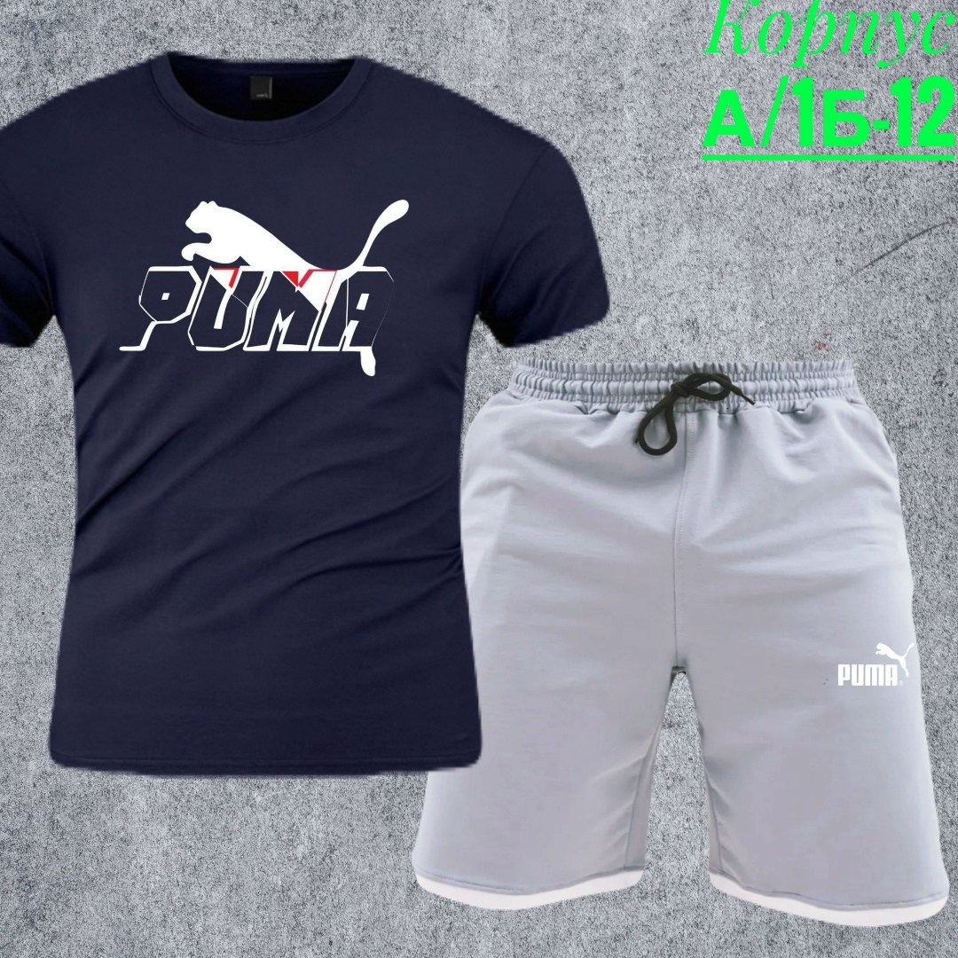 шорты футболка комплект мужской,костюм шорты и футболка мужская пума,костюм спортивный мужской,костюмы спортивный puma