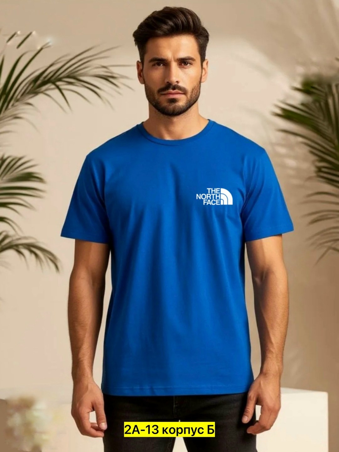 мужские футболки the north face,футболка мужская,футболки the north face,футболки мужские повседневные,футболки для мужчин