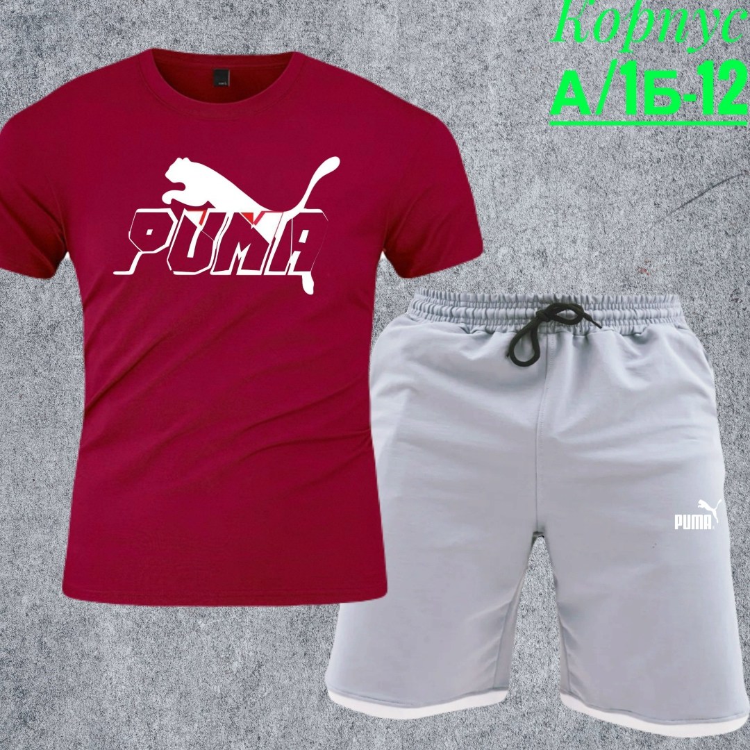 шорты футболка комплект мужской,костюм шорты и футболка мужская пума,костюм спортивный мужской,костюмы спортивный puma