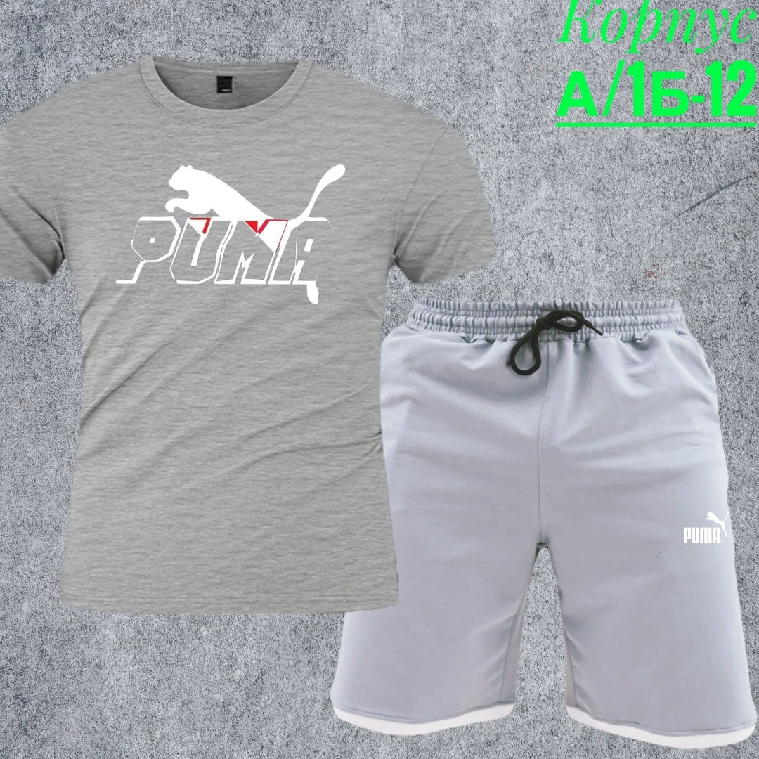 шорты футболка комплект мужской,костюм шорты и футболка мужская пума,костюм спортивный мужской,костюмы спортивный puma