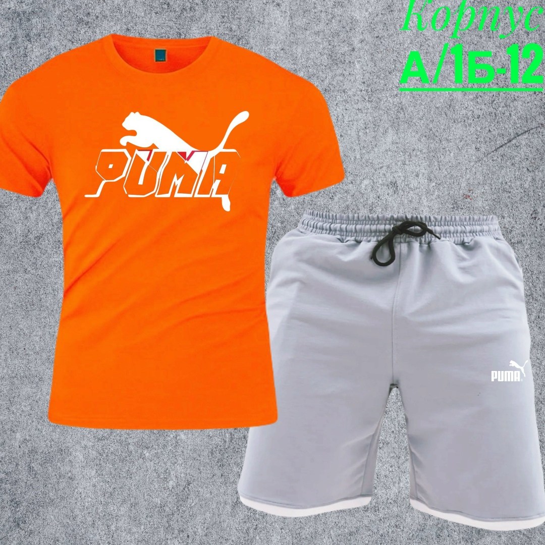 шорты футболка комплект мужской,костюм шорты и футболка мужская пума,костюм спортивный мужской,костюмы спортивный puma