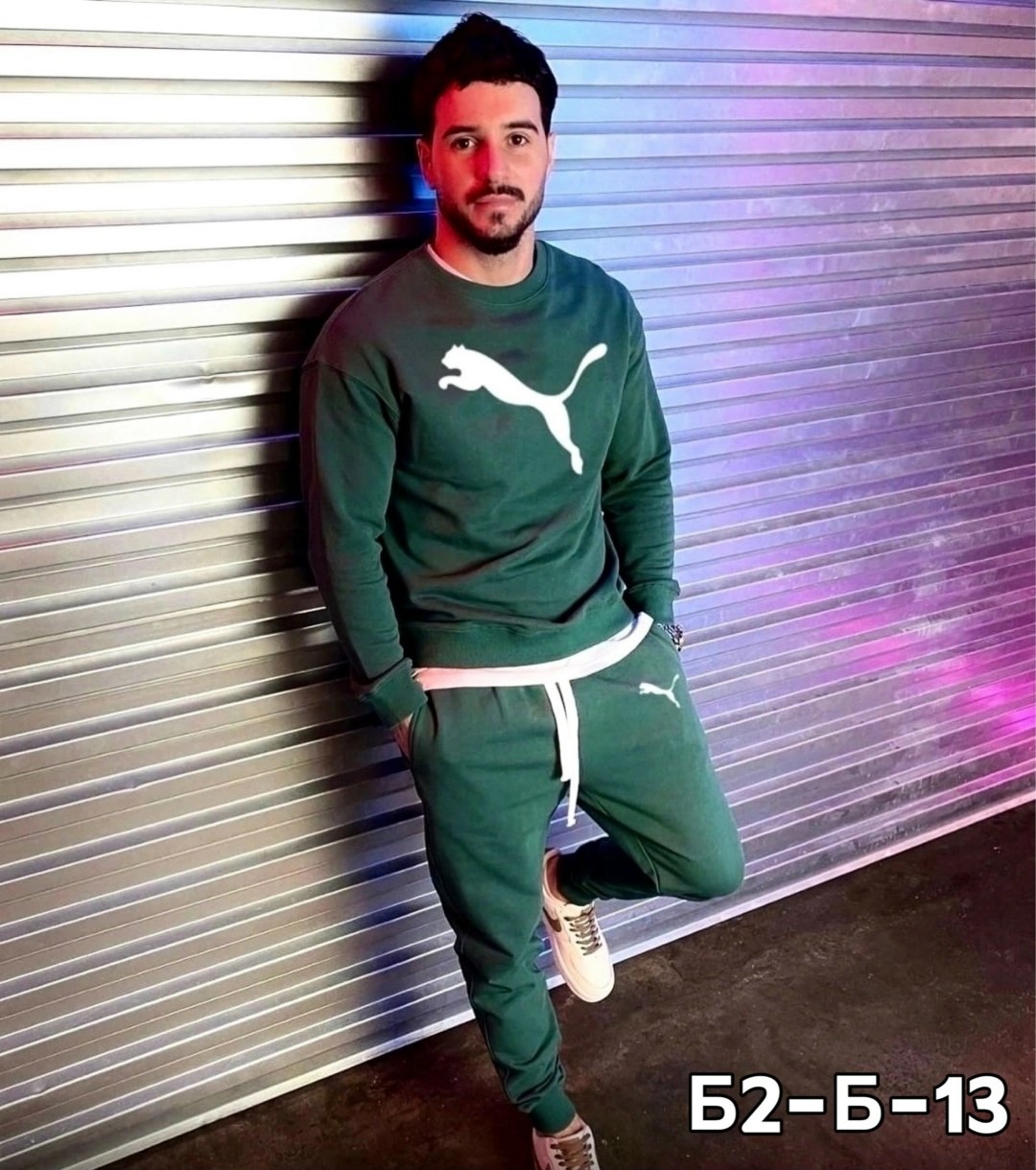 спортивный костюм мужской,спортивный костюм,мужской спортивный костюм на флисе,костюм на флисе,костюм для мужчин