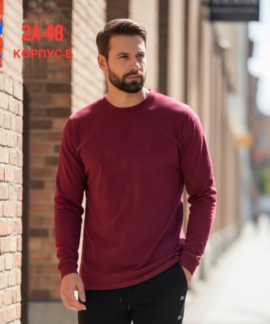 кофта мужской,лонгслив мужской,толстовки свитшот,мужские свитшоты,свитшот мужская