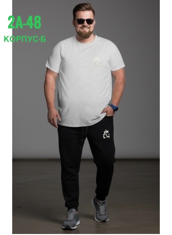 мужская футболка,спортивные костюмы мужские,мужская мода,костюм для мужчин,спортивные костюм