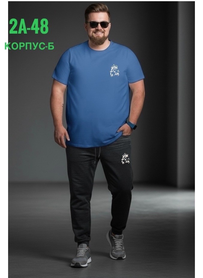 мужская футболка,спортивные костюмы мужские,мужская мода,костюм для мужчин,спортивные костюм