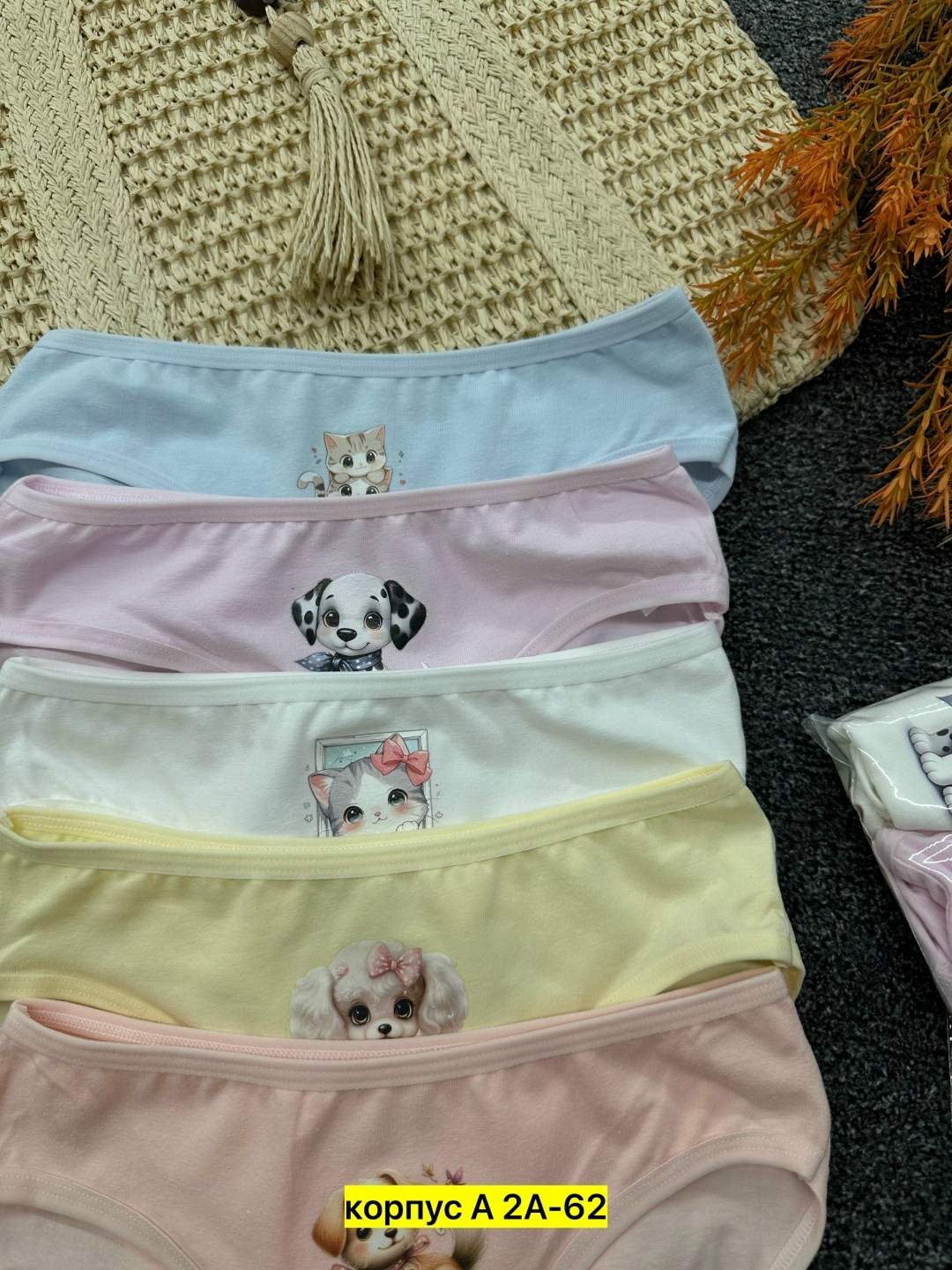 трусы для девочки donella,детские трусы для девочек,набор трусов для девочки donella,комплект трусов слипы donella,комплект трусов слипы donella для девочек