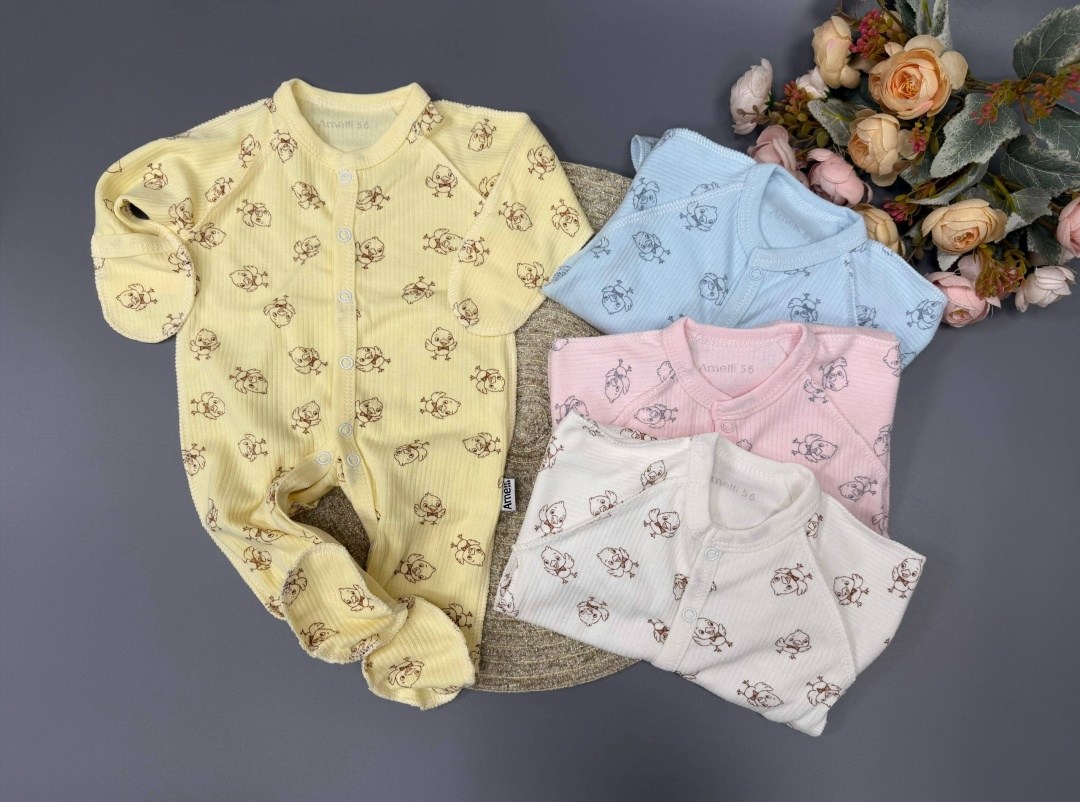 комбинезон слип,комбинезон нательный для новорожденного,нательный комбинезон слип для новорожденного,комбинезон для новорожденного,комбинезон домашний