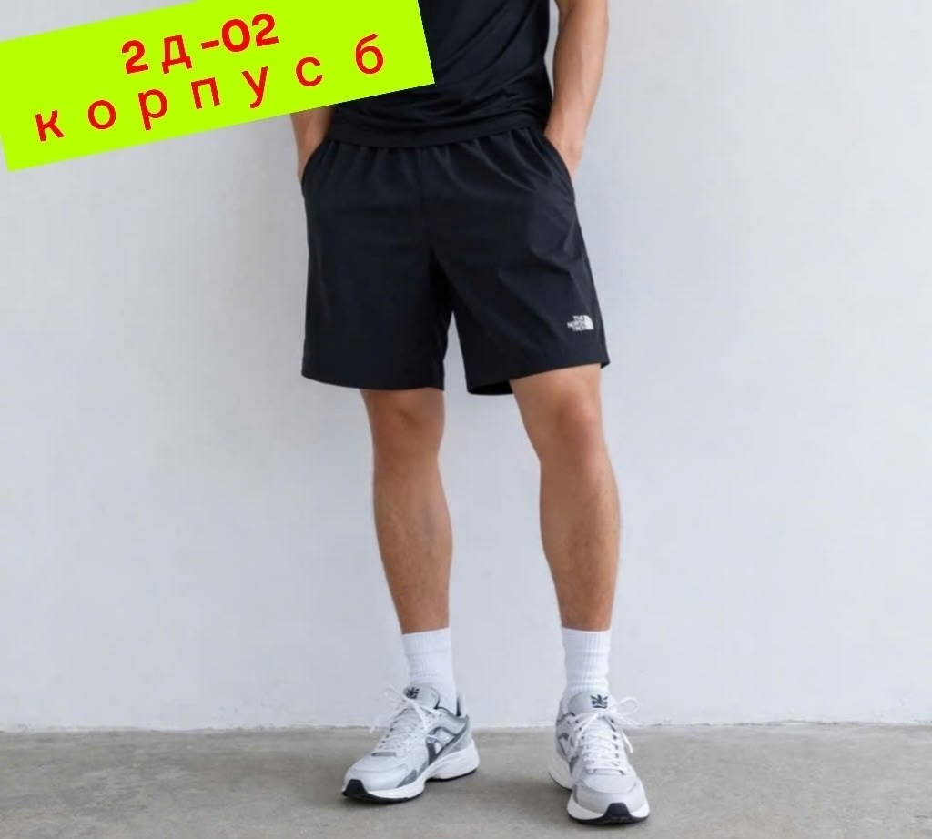 шорты мужские,мужские шорты the north face,шорты для мужчин,шорты спортивные мужские,шорты the north face