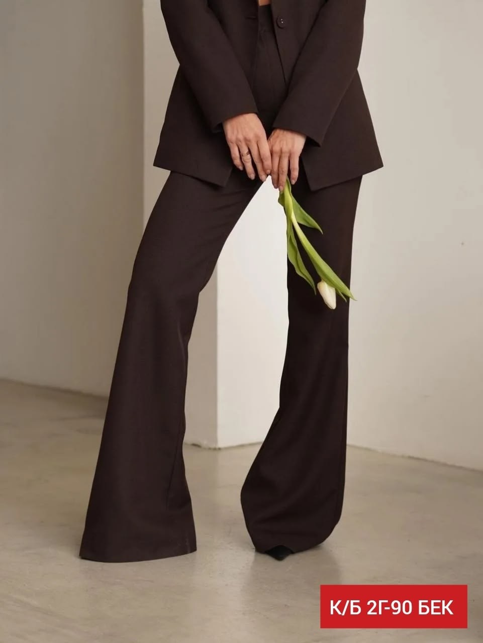 брючный костюм,классический костюм,деловой женский брючный костюм,брючные женские костюмы,брючный костюм классика
