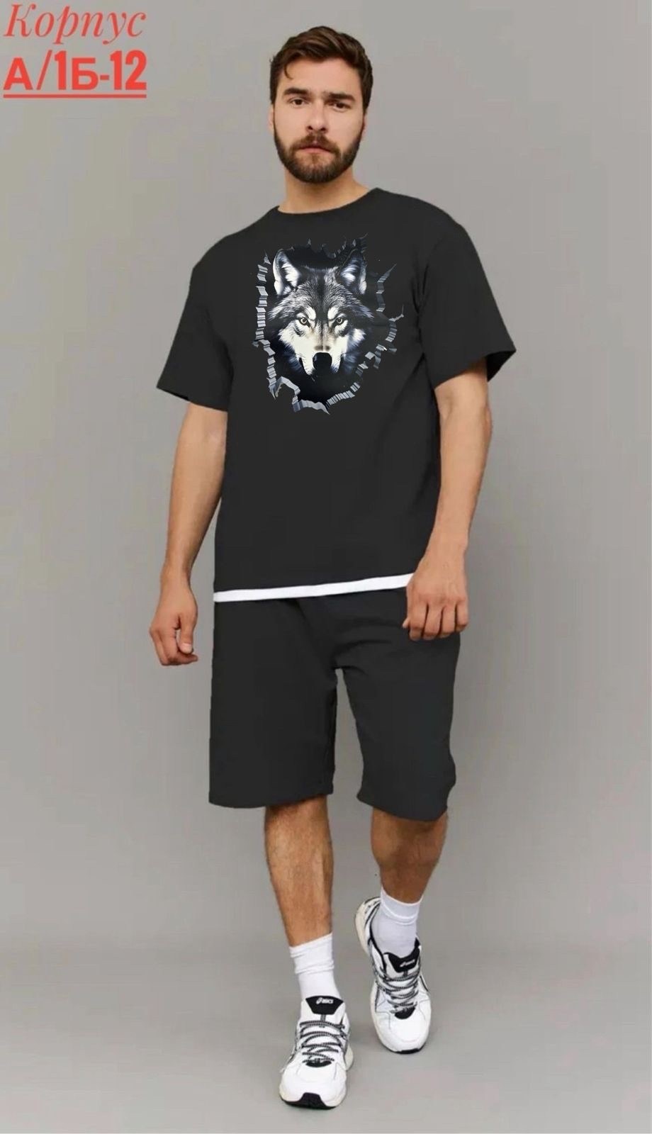 костюм спортивный летний с шортами и футболкой,костюм спортивный летний с шортам,костюм летний с шортами и футболкой,спортивные мужские костюмы,костюм мужской