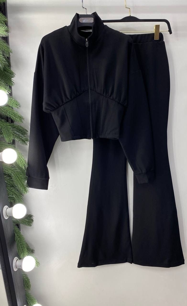 далматин,далматинец,порода далматинец,порода собак далматинец,далматинец взрослый