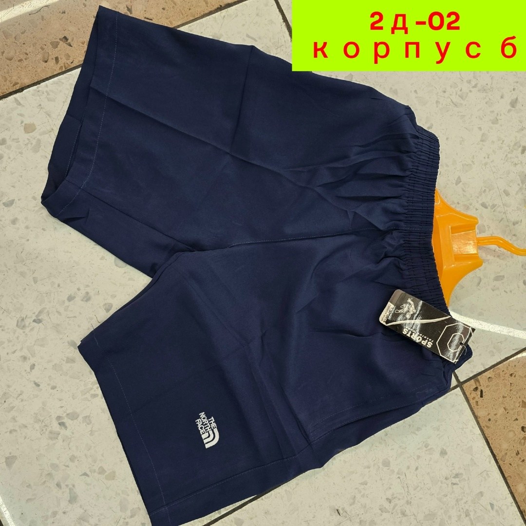 шорты мужские,мужские шорты the north face,шорты для мужчин,шорты спортивные мужские,шорты the north face