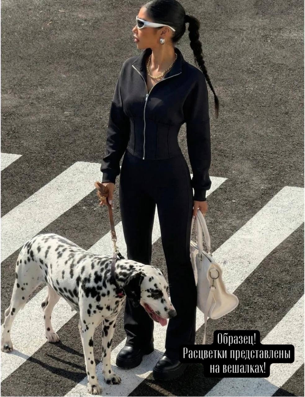 далматин,далматинец,порода далматинец,порода собак далматинец,далматинец взрослый