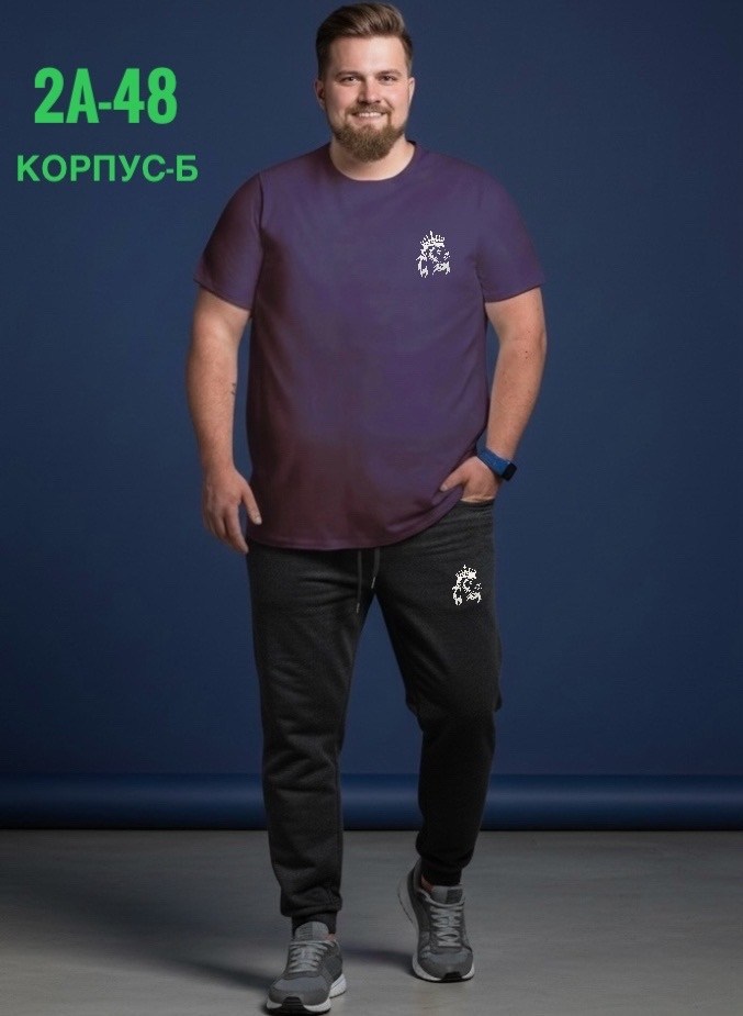 мужская футболка,спортивные костюмы мужские,мужская мода,костюм для мужчин,спортивные костюм