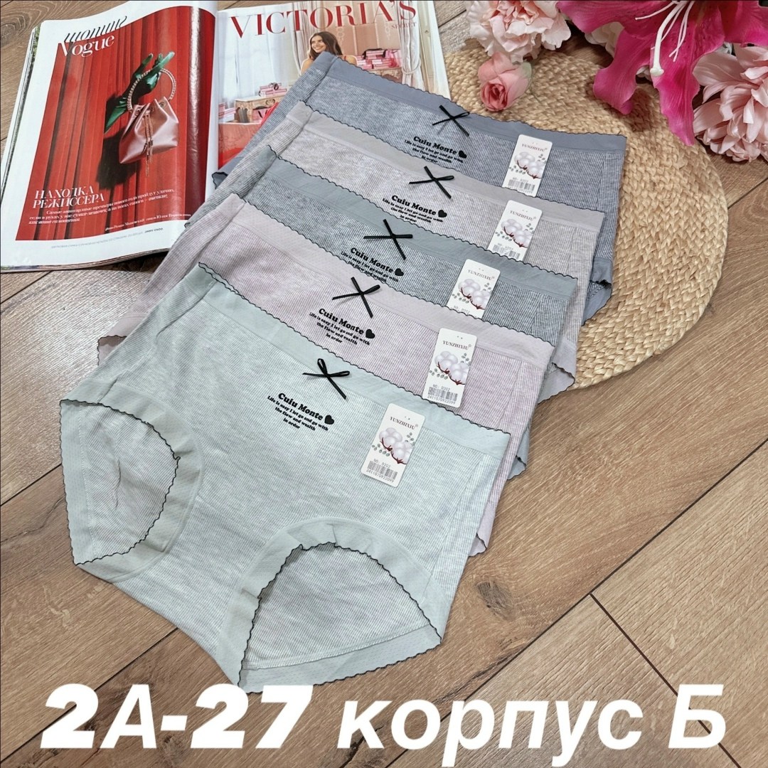 комплект женских трусов,комплект трусов,трусы женские,трусы женские 5 шт,комплект трусов слипы