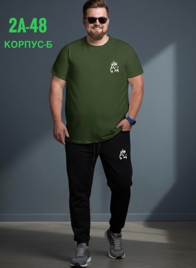 мужская футболка,спортивные костюмы мужские,мужская мода,костюм для мужчин,спортивные костюм