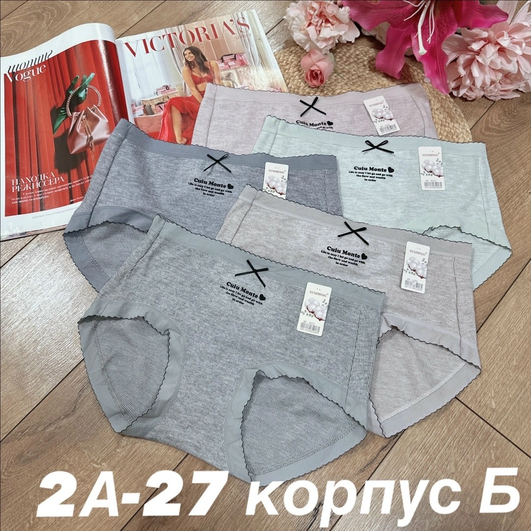 комплект женских трусов,комплект трусов,трусы женские,трусы женские 5 шт,комплект трусов слипы