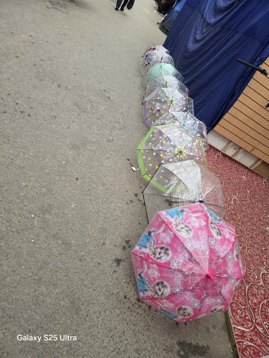 прозрачный зонт трость,зонтик прозрачный,зонт прозрачный,зонтик прозрачный детский,детские зонтики