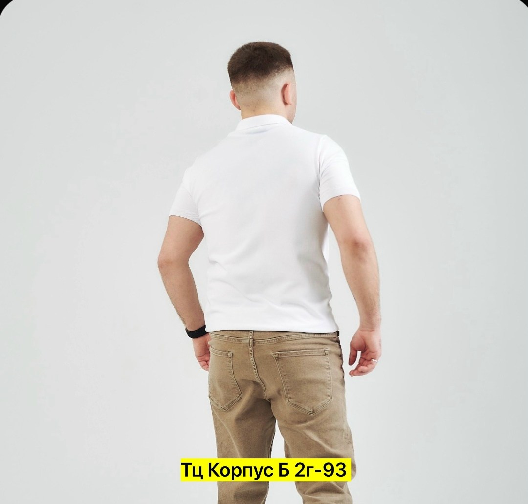 мужская футболка поло,футболки мужские,мужская мода,стильные мужские футболки поло,рубашка поло мужская