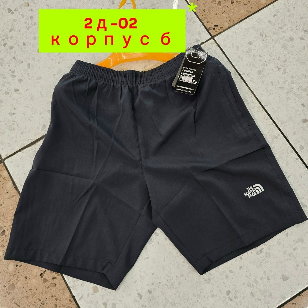 шорты мужские,мужские шорты the north face,шорты для мужчин,шорты спортивные мужские,шорты the north face