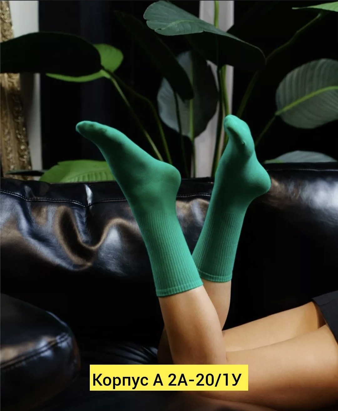 носки женские,носки женские 10 пар,комплект носки женские,носки женские набор,носочки женские