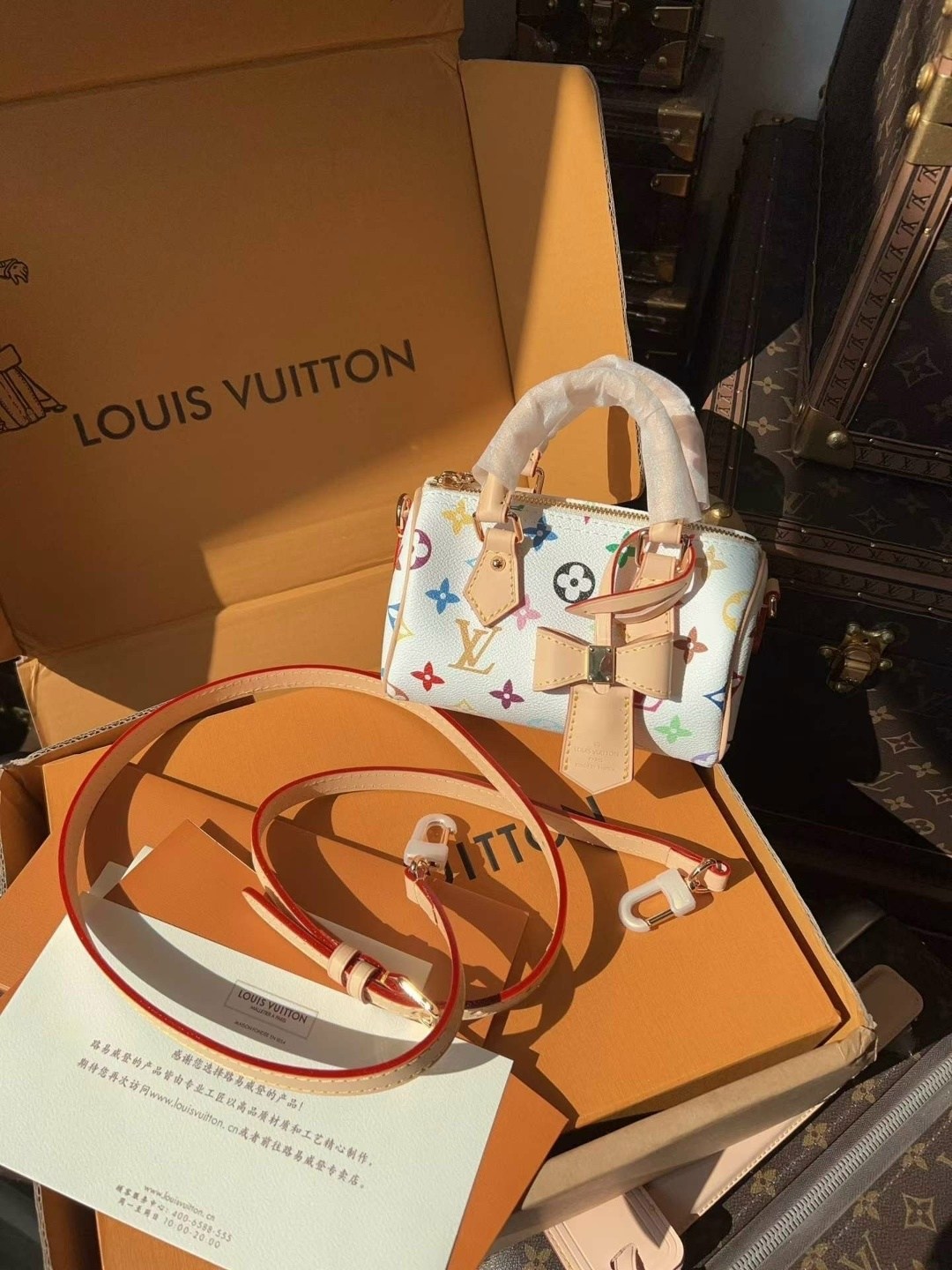 женская сумка louis vuitton,louis vuitton сумка на плечо,louis vuitton сумка,louis vuitton speedy,louis vuitton сумка кросс-боди