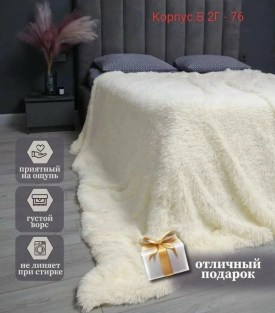 Одежда