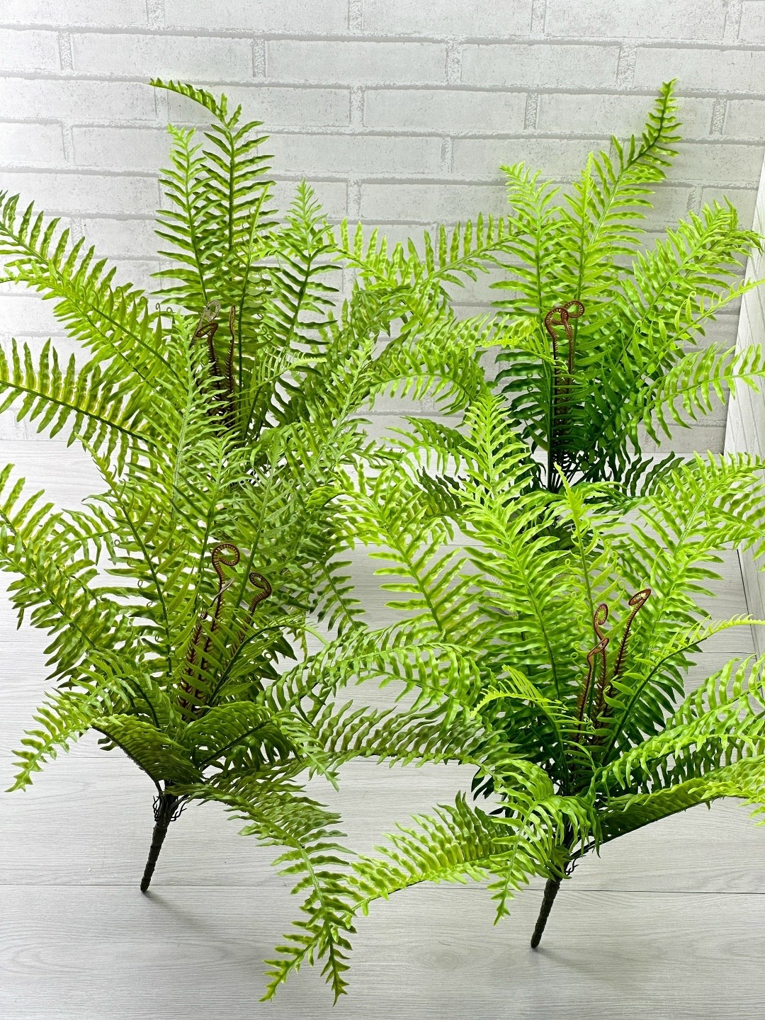 нефролепис,нефролепис грин,папоротник,нефролепис микс,искусственный папоротник