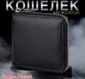 Одежда