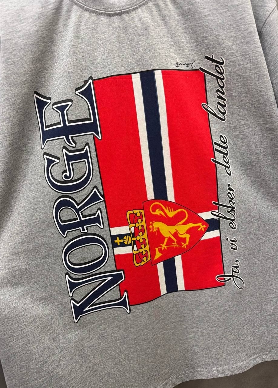 футболка серая,футболка с принтом,футболки мужские оверсайз,футболка с рисунком